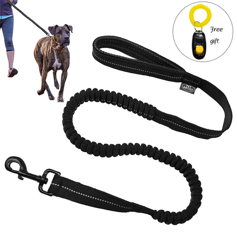 Leash with rubber band
