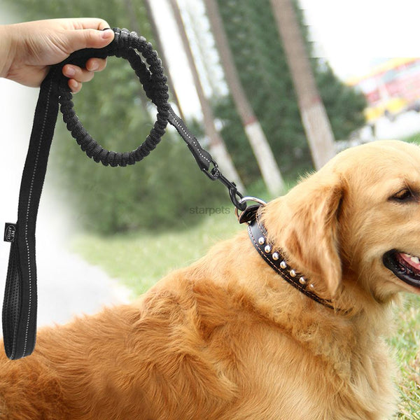 Leash with rubber band