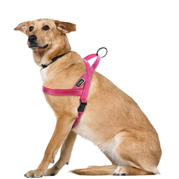 Сute Dog Harness