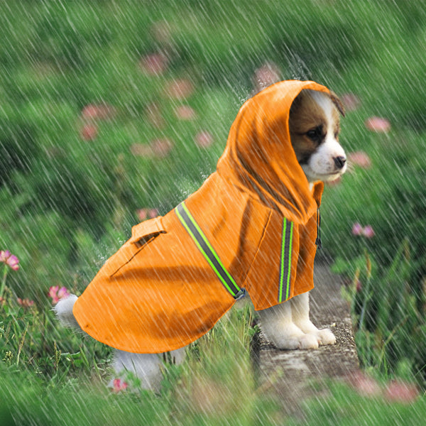 Raincoat For Dogs