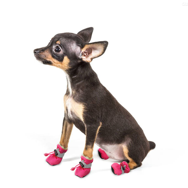 Boots for dogs
